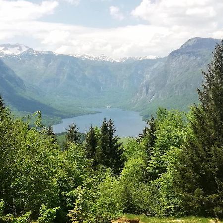 Apartment Ana Bohinj Eksteriør bilde