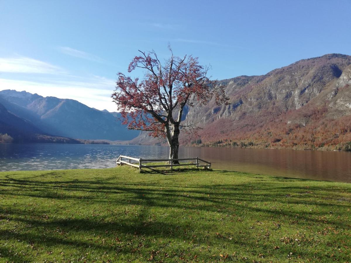 Apartment Ana Bohinj Eksteriør bilde