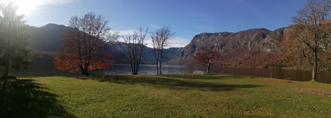 Apartment Ana Bohinj Eksteriør bilde