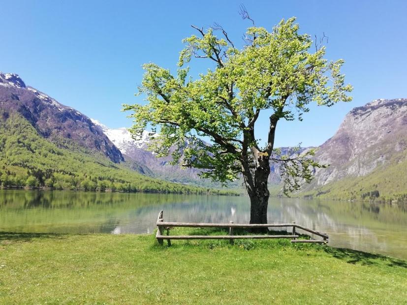 Apartment Ana Bohinj Eksteriør bilde