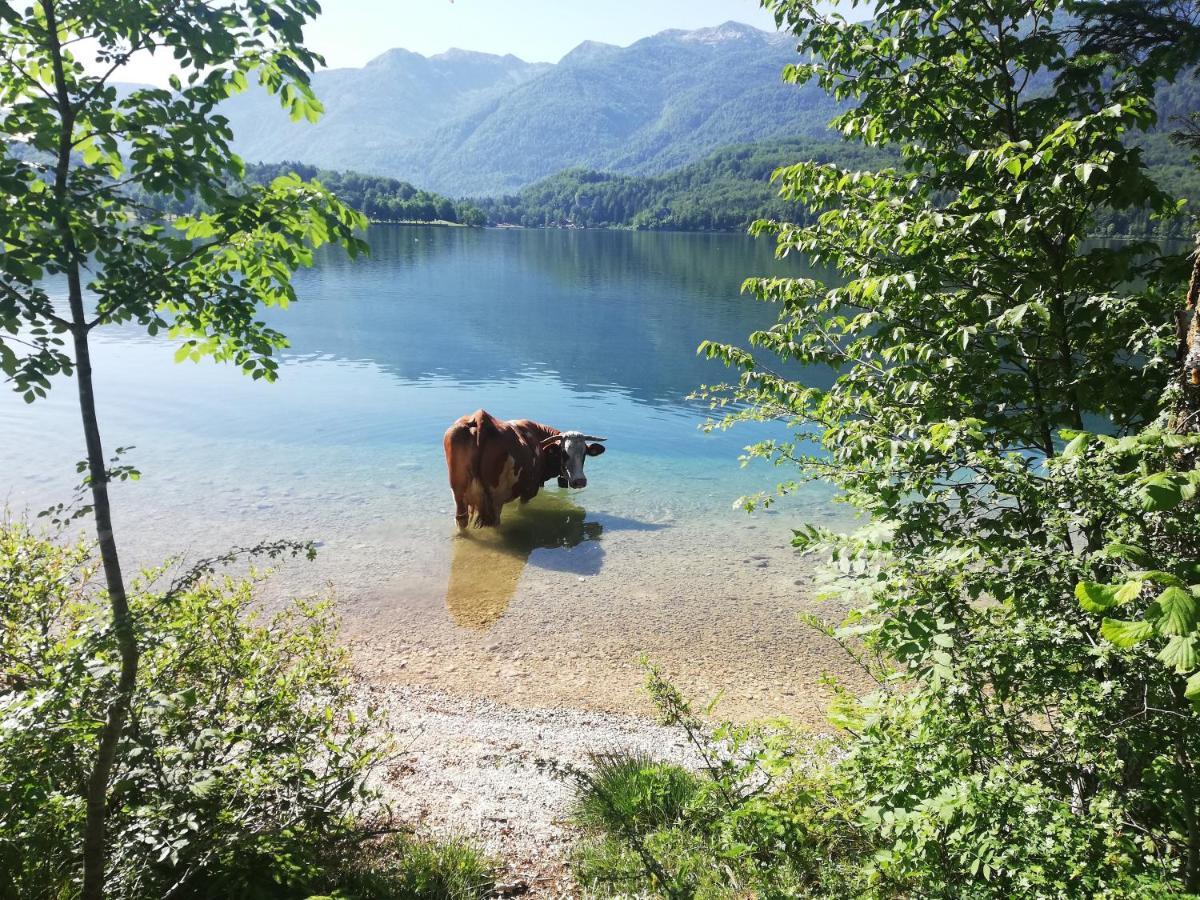 Apartment Ana Bohinj Eksteriør bilde