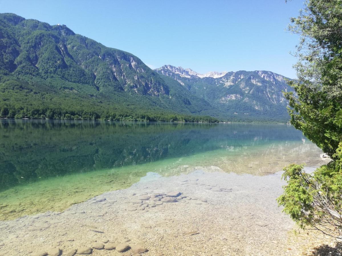 Apartment Ana Bohinj Eksteriør bilde