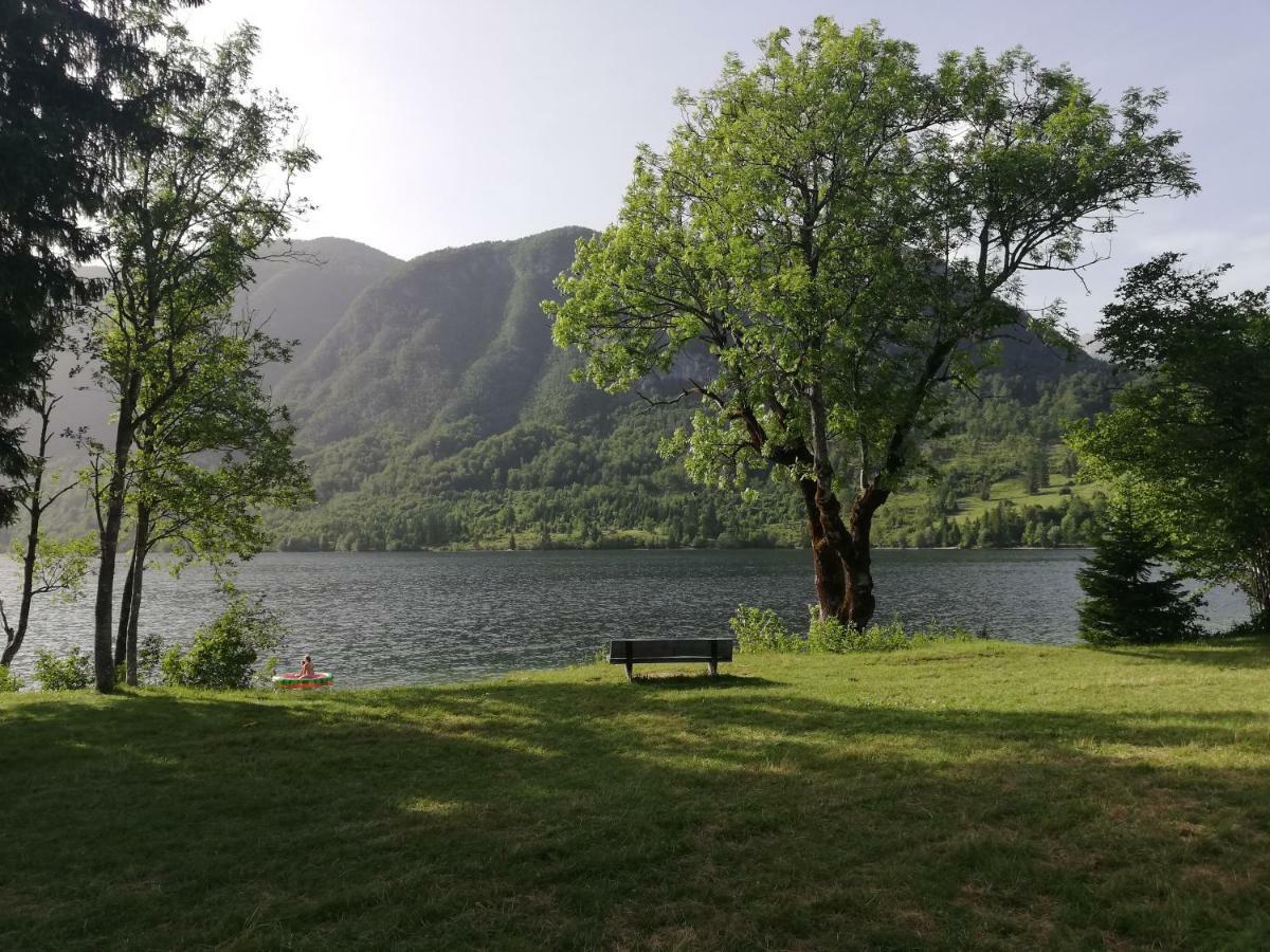 Apartment Ana Bohinj Eksteriør bilde