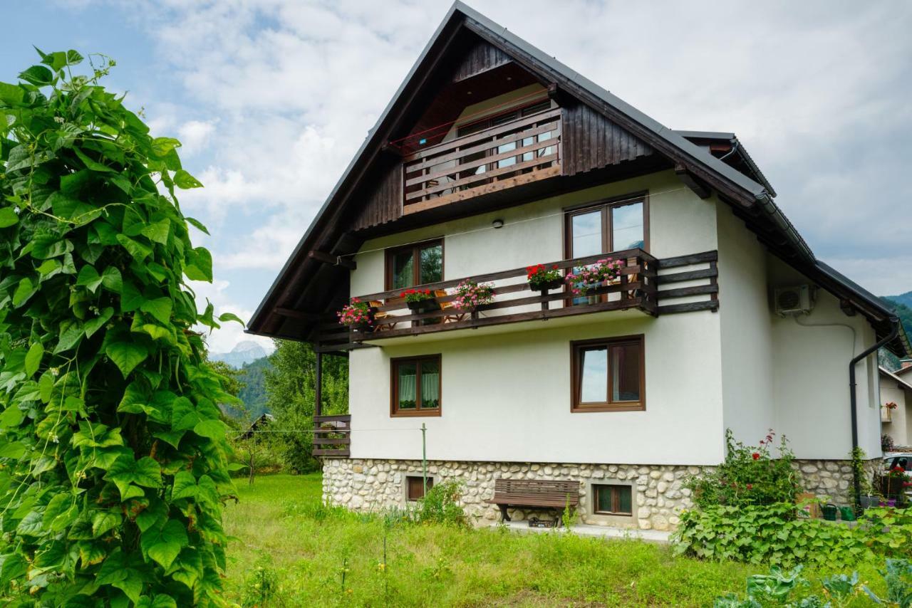 Apartment Ana Bohinj Eksteriør bilde